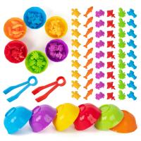 Juguete Educativo De Montessori Para Niños Juego De Coloría Con Coches Y Animales Aprendizaje De Conteo Y Cognición De Animales Para Jardín De Infantes - details 2