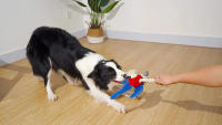 Juguete De Perro Indestructible De Peluche Squeaky Para Pequeños Y Grandes Perros Juguetes De Masticar Para Mascotas - details 3