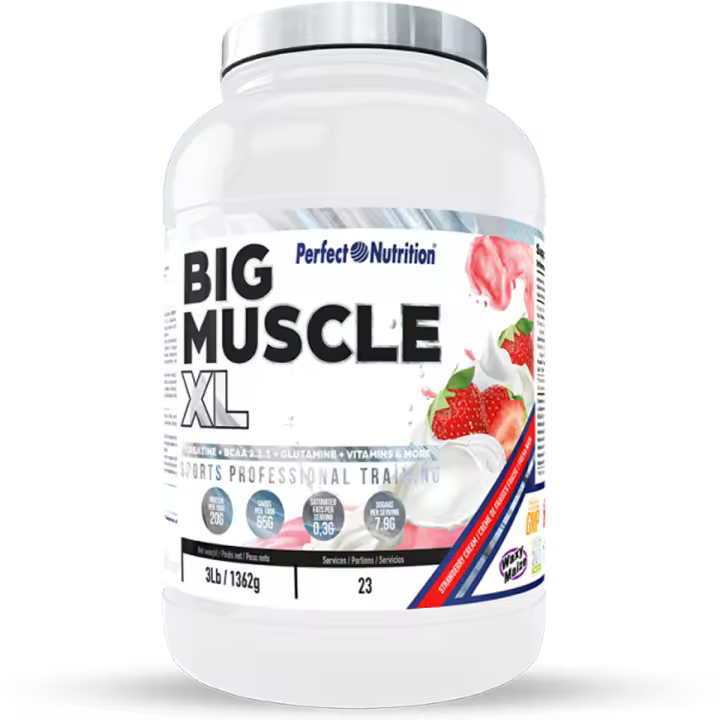 Perfect Nutrition - Big Muscle XL - 1326 gr - 1
