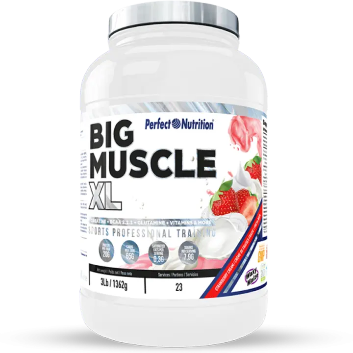Perfect Nutrition - Big Muscle XL - 1326 gr - 1