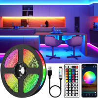 Tira De Luces LED RGB5050 USB5V Flexible Control Remoto APP Iluminación Flexible Para Decoración De Habitaciones Y Paredes - details 0