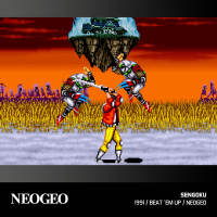 CARTUCHO EVERCADE NEOGEO ARCADE 1 - Cartucho Evercade - Nuevo - Plaion - RETRO - PREVENTA - Relanzamiento Reposición 10/09/25 - details 7