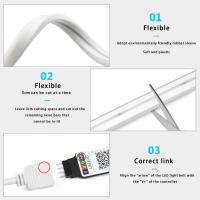 Tira De Luces LED Neón RGB 5V USB Impermeable Con Control Remoto Y App Bluetooth Para Decoración De Hogar Luz SMD Epistar 1/2/3/4/5M - details 0