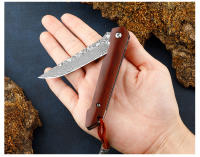 Cuchillo Plegable Damasco Mini Para Exteriores Cuchillo De Bolsillo Portátil Acero Inoxidable M390 Cuchillo De Campo Para Frutas - details 9