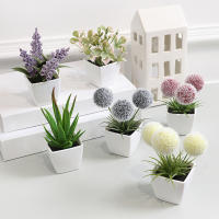 Juego De Macetas De Plástico Evergreen Para Decoración De Escritorio Y Oficina Estilo Suculentas Sin Mantenimiento Realista - details 10