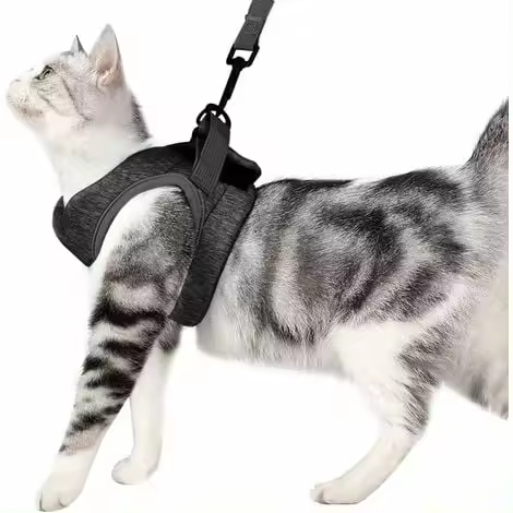 Arnés y correa ultraligeros para gatos, suave y cómodo, chaqueta para pasear gatos, a prueba de fugas, adecuada para cachorros y conejos (gris, S) - 1