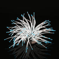 Adorno Acuático De Silicona Para Acuariopeces Artificiales Decoración Submarina Con Coral Y Plantas Iluminadas Para Decoración De Tanque De Acuario - details 12