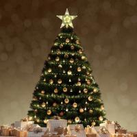 Estrella De Navidad LED 15CM Para Adornos De Árbol De Navidad Con Batería Decoración Doméstica Para Año Nuevo 2025 - details 1