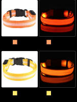 Correa De Perro De Nylon Con LED Para Seguridad Nocturna Y Fluorescencia Luz En La Oscuridad Collar Luminoso Para Mascotas Adecuado Para Todas Las Estaciones - details 11