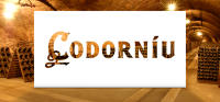 Codorniu Codorníu Cava Brut Edición Limitada 6 Botellas 75cl - details 0
