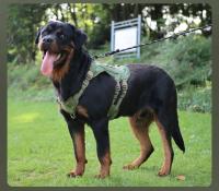 Correa Táctica Para Perros Grandes Con Cremallera Retráctil Y Correa De Hombro Gran Capacity Para Pitbull Accesorios Para Perros - details 7