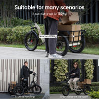 2025 Onesport Bicicleta de carga Eléctrica de 20 pulgadas OT30 48v13ah Katería de Lithium octogonal 65nm Motor 4PA Transmisión de Clase 7 - details 8