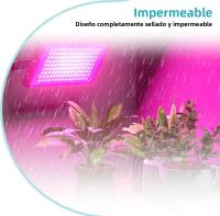 Lámpara De Crecimiento LED De Espectro Completo Para Plantas 5V Luz Verde Para Suculentas Cultivo De Interior Frutas Y Hidroponia - details 6