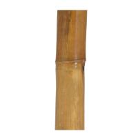 Gerimport Palo de Bambú Clasic Mahoney 7 x 120 cm - Decoración Elegante y Versátil para Interiores y Exteriores, Ideal para Arreglos Florales, Soportes de Plantas y Proyectos Creativos, Aporta Estilo Natural y Calidez - details 1