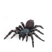 Figura De Acción Simulación De Araña Tarántula Negra Para Juegos De Halloween Juguetes Educativos Divertidos Y Terroríficos Para Adultos Y Niños - details 6