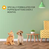 NOBLEZA Champú para Perros Gatos Piel Sensible y Atopica, Champú Cachorro y Gatito con Fragancia de Coco, Champú Perro Dermatitis y Anti olores |Sin Parabenos, Ftalatos o SLS |pH Adaptado| 250ml - details 6