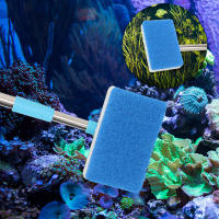 Cepillo De Limpieza Para Acuario Con Mango Largo Y Pincel Doble Cara Ajustable De 180° Limpiador De Algas Para Ventanas Y Vidrio - details 3