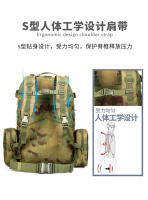 Mochila táctica de camping de gran capacidad con hebilla de color a juego, de tela Oxford, para exteriores, de camuflaje militar, para montañismo - details 5