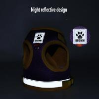 Harnés Para Gatos Con Correa Set De Verano Transpirable Malla Reflectante Para Perros Y Gatos Pequeños Con Cinturón De Pecho - details 6