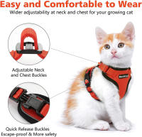 Correa De Tracción Para Gatos Transpirable Con Ajuste Y Antideslizante Chaleco Estilo Cuerda Adelantable Ultrafino Para Verano - details 17