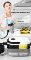 Limpiador De Vapor Portátil Para El Hogar Alta Temperatura Estéril Para Aire Acondicionado Sofá Cocina Camión Y Mano - details 0