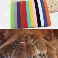 4pcs Peine De Plástico Para Cerdas Finas Doble Cara Para Eliminar Lice Y Pelo De Perros Gatos Y Otros Animales Domésticos - details 4