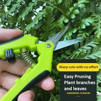 Tijeras De Jardín De Acero Inoxidable Para Podar Flores Y Frutas Adecuadas Para Podar Uvas Cabeza Recta Herramienta De Jardinería - details 3