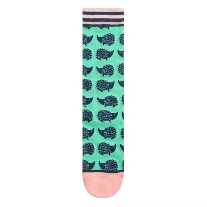 Calcetines De Algodón Coloridos Para Mujer 2024 Moda Primavera Otoño Plantas Echinacos Sloth Estilo Trendy Personales - 1