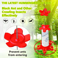 Alimentador de colibrí colgante al aire libre, boca ancha para fácil llenado, alimentador para patio, jardín, decoración de árboles - details 7