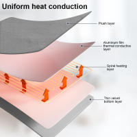 Manta Eléctrica Con Termostato Automático Calefactor De Cama Calentador De Matrícula 220V Para Dormitorio Calentador Rápido - details 4
