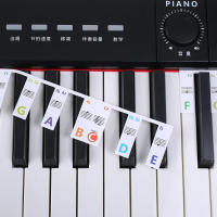 Etiquetas De Notas De Piano De Silicona Para Principiantes Guía Removible Etiquetas De Teclado De Piano Reutilizables Sin Necesidad De Stickers - details 5