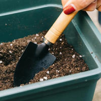 Juego De Herramientas Para Jardín De Plantas En Maceta 3 Piezas Incluye Tijeras Y Pinzas Para Semillas Y Enraizamiento Herramientas Prácticas Y Compactas Para El Jardín Y Flores - details 5