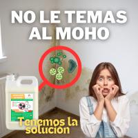 Limpiador de Moho Lavanya - Elimina Moho, Hongos y Humedades de Paredes y Techos - Garrafa de 5 litros - details 1