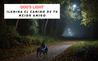 Collar Luminoso Perro Recargable DOG'S LIGHT Animal Kingdom - details 1