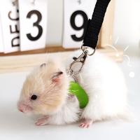Juego De 4 Piezas Correa Y Arnes Ajustable Para Pequeños Animales Como Hamsters Sucres Y Ardillas Resistente Al Escape - details 2