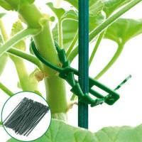 50pcs Amarras De Plástico Ajustables Para Plantas Reutilizables Soporte Para Árboles Y Enredaderas Como Tomates - details 0