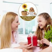 2PCS Mini Flores De Girasol Positivas Creativas Y Divertidas Hechas a Mano Para Decoración De Escritorio Regalos De Cumpleaños Hechas Con Textil Y Fibra - details 6