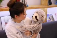 Muñeco De Peluche Realista De Sota Para Niños Y Amigos Lindo Regalo De Navidad Relleno De Algodón PP Tipo De Peluche Adecuado Para Todas Las Edades - details 8