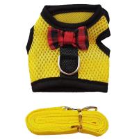 Harnés Y Correa Para Perro Chihuahua Teacup XXXS XXS XS Malla Vestido Adecuado Para Gato Pequeño Hamster Conejo Dutch Pig - details 0