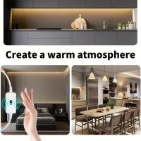 Tira De Lámpara Neón LED Con Sensor De Movimiento Y Interruptor Dimmer Flexible Impermeable Para Decoración Del Hogar Y Exterior Control Remoto - details 0