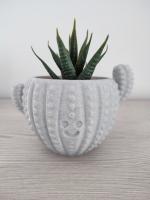 Maceta con forma de cactus feliz - Decoración para el hogar y jardín - 3DRoots - details 0