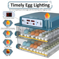 Incubadora de huevos 120, incubadora de huevos derecho para incubar pollitos, volteador automático de huevos con control de temperatura ,5 modos de incubación automáticos - details 6