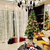 Luz De Navidad LED Para Boda Y Fiesta 6/3M Guirnalda De Hadas Decorativa Para Hogar Con 8 Modos Luz USB Para Decoración De Año Nuevo 2025 - details 11