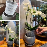 Macetas De Plástico Transparente Para Orchidées De 3 Tamaños 4.3in 5.5in Y 6.3in Con Agujeros Planter Breathable Para Repotear - details 5