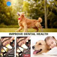 Juguetes Para Perros Pequeños Y Medianos 3Pcs Bola Masticable De Espina Suave TPR Con Sonido Squeaky Flotante Para Piscina Juguete Para Arrojar Y Buscar - details 7