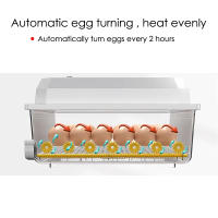 Incubador De Huevos Automático Para Pollos Pato Ganso Pichón Mini Brooder Doméstico 16 Huevos Herramienta Esencial Para Granjas Y Aves De Corral - details 1