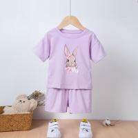Conjunto De Verano Para Niños Y Niñas Con Estampado De Conejo Ropa Infantil De Algodón Puro Cómodo Casual O-Neck Cierre Sobrepuesto - details 0