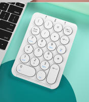 Teclado Numérico Inalámbrico BOW De 22 Teclas Recargable Bluetooth Con Capas De Teclas Redondas Para Portátil iPad Estilo Mini Ergonómico Sin Retroiluminación - details 12