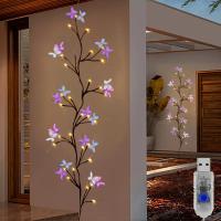 1pc Vine De Encanto Con 30LED Y Mariposa USB Iluminación Impermeable De 8 Modos Para Interior Y Exterior Regalo De San Valentín Decoración De Hogar Y Fuego - details 0