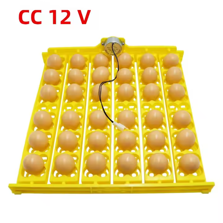  Bandeja De 36 Huevos De Codorniz Incubadora Automática Para Polluelos Patos Aves De Corral Equipo De Incubación De Plástico Bajo Consumo - 1